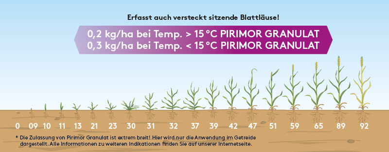 PIRIMOR® GRANULAT Produktinformationen ADAMA Produkte Deutschland